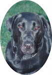 MEET MY BIG BUD
