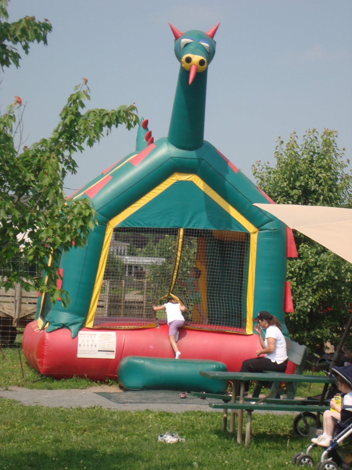 Family fun in MD and Beyond Leesburg Animal Park in Leesburg, Virginia