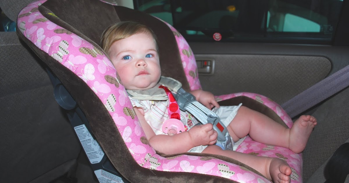 Ella's Adventures Eight Months Old