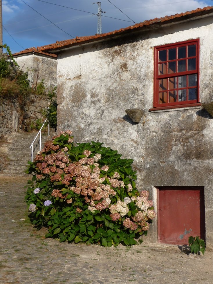 [P1000416c.JPG]