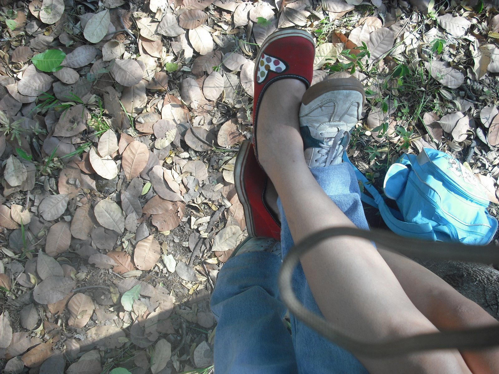 [DSCF4594.JPG]