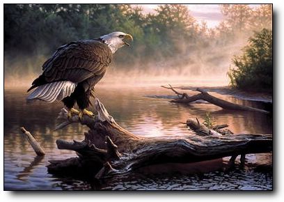 Free High Resolution Pictures: oil paintings birds images, oil