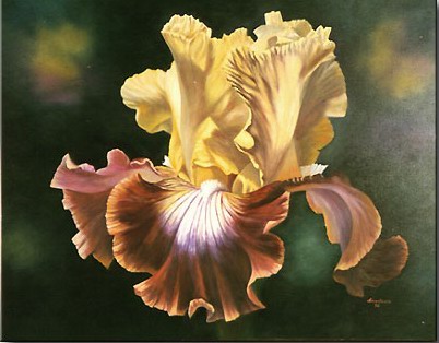 Free High Resolution Pictures: modern oil paintings flowers wallpapers