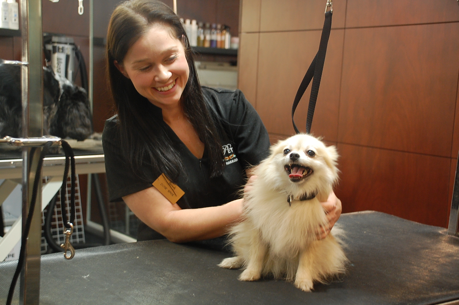 Butters the Fashion Dog Pomeranian gets Pampered at the Harrods Pet Spa