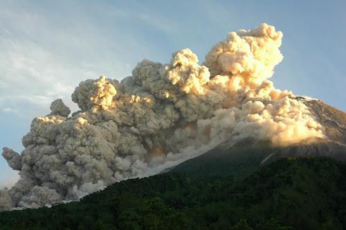 Wedus Gembel Gunung Merapi