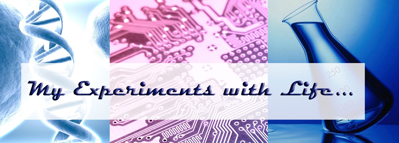 My Experiments with Life