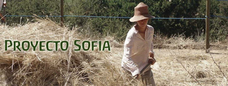 Proyecto Sofia