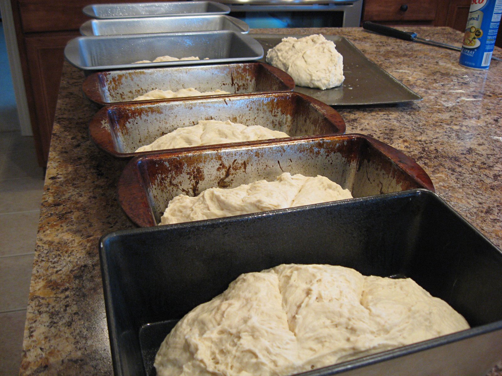 [depression+era+bread+dough+in+pans.jpg]