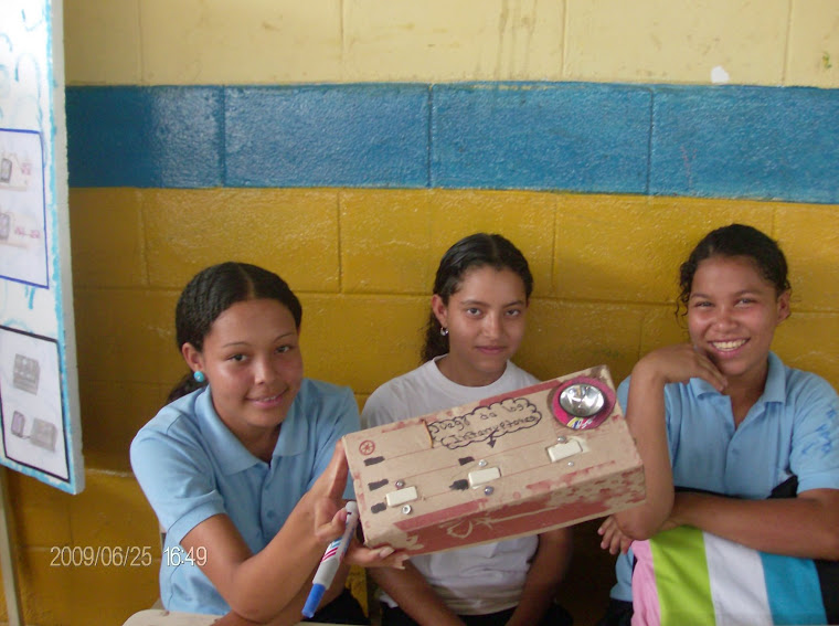 FESTIVAL DE CIENCIAS 2009