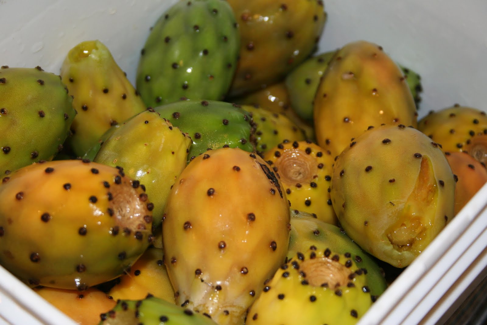 How to Peel a Cactus Fruit (Sabara)