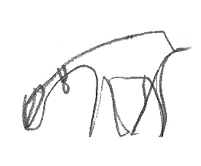 Cute Goat Drawing