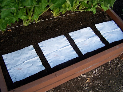 Annie's Kitchen Garden: September 22, 2009: Home Made Seed Mat Tutorial