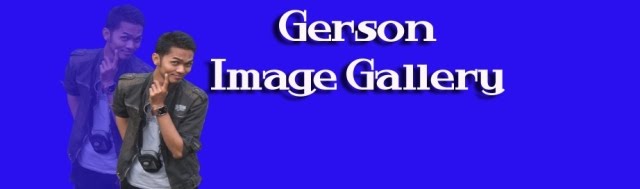 Gerson Image Gallery