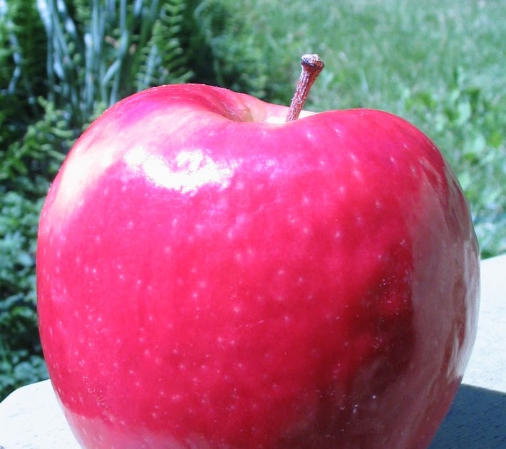 Adam's Apples Pink Lady (Cripps Pink)
