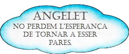 ANGELET