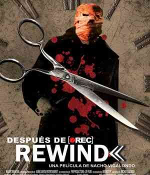 snowblower parts rewind