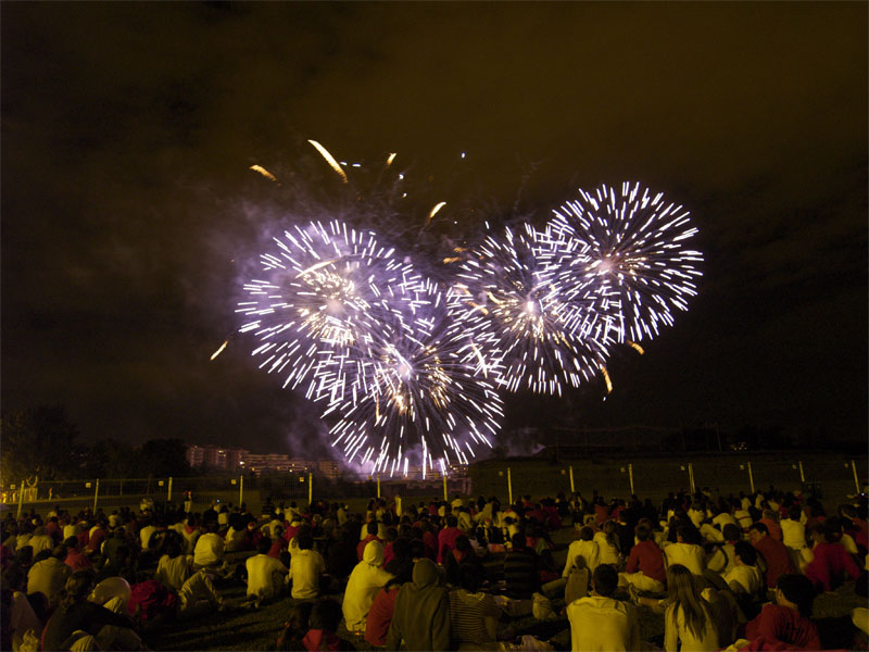 [FUEGOS+ARTIFICIALES.jpg]