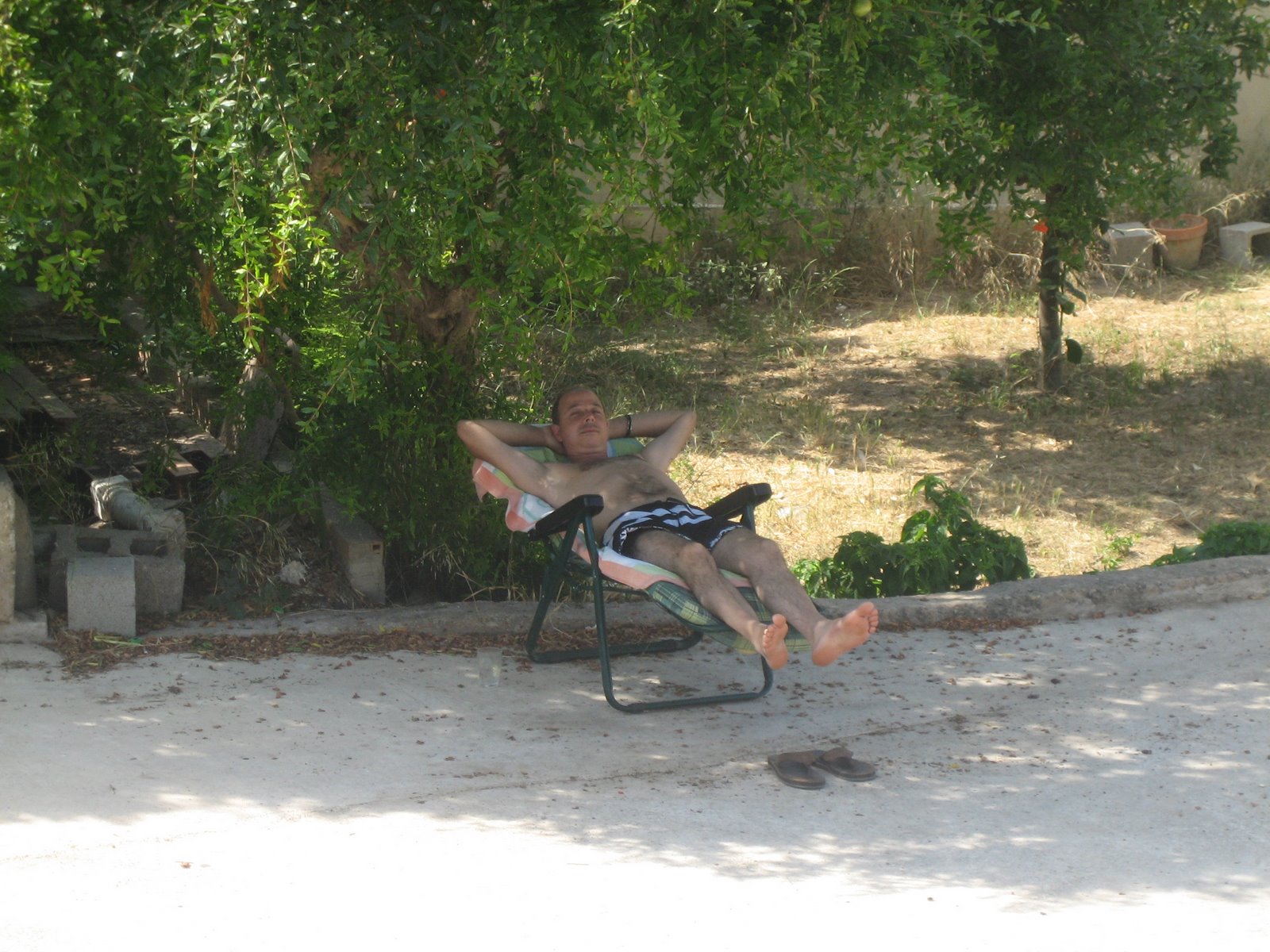 [IMG_3392.JPG]