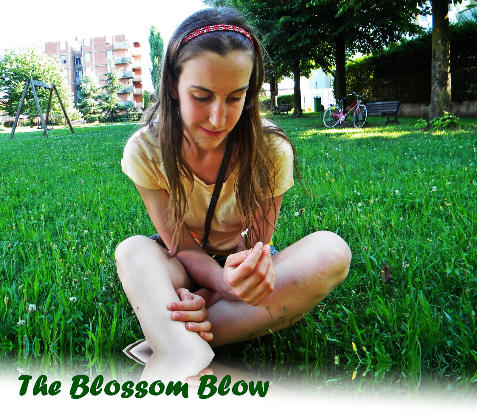 The Blossom Blow