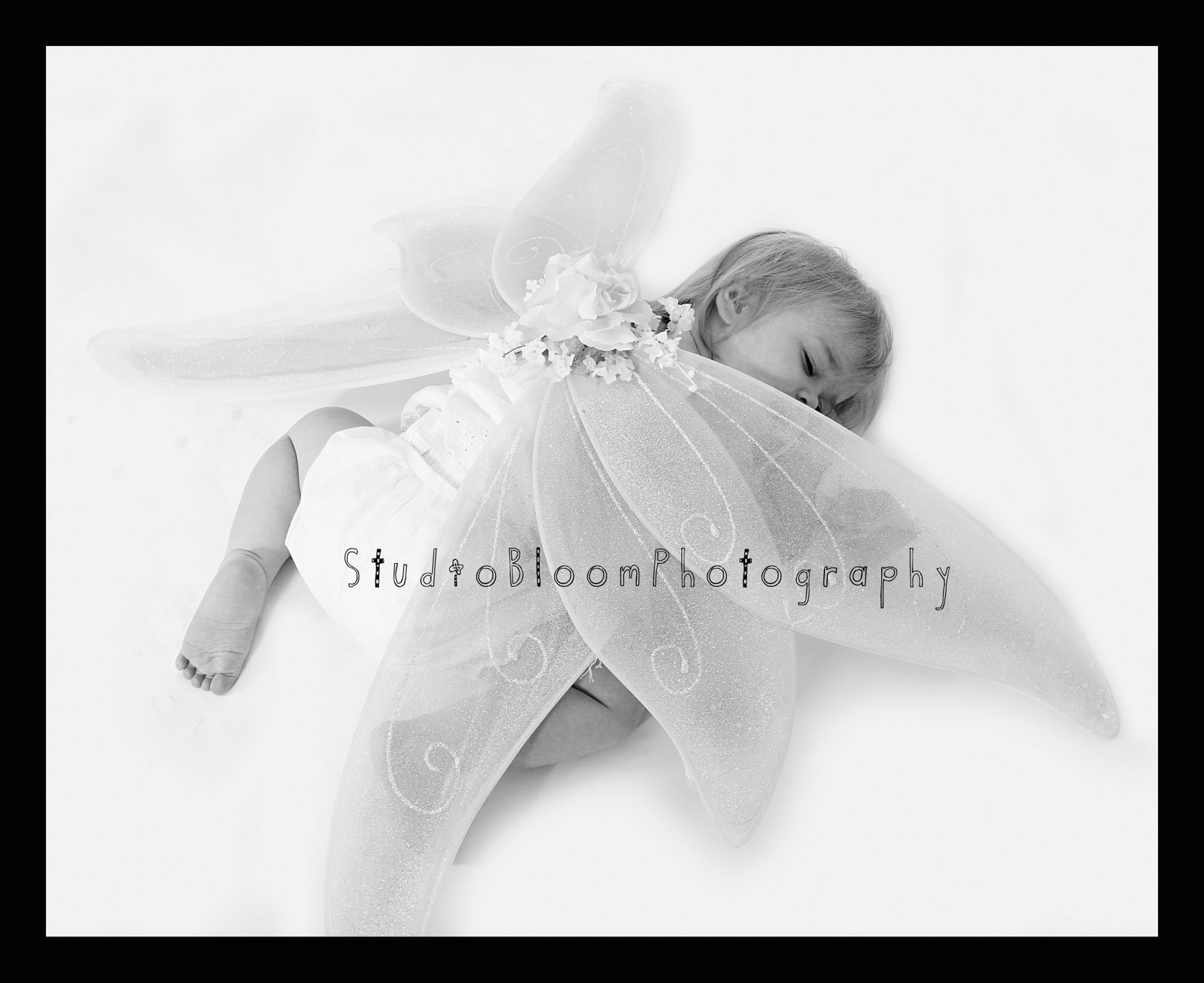 [IMG_0101psb&w1.jpg]