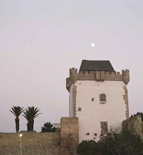 torre de la medina