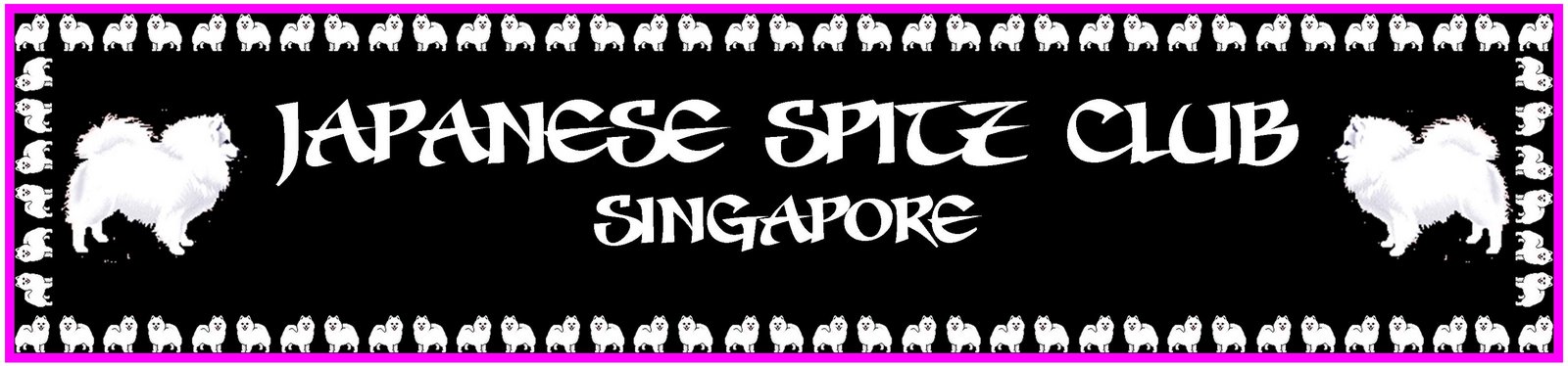 Members of Japanese Spitz Club Singapore