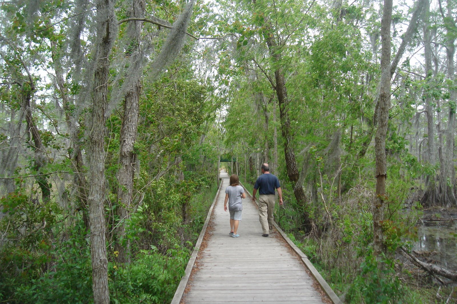 [boardwalk.JPG]