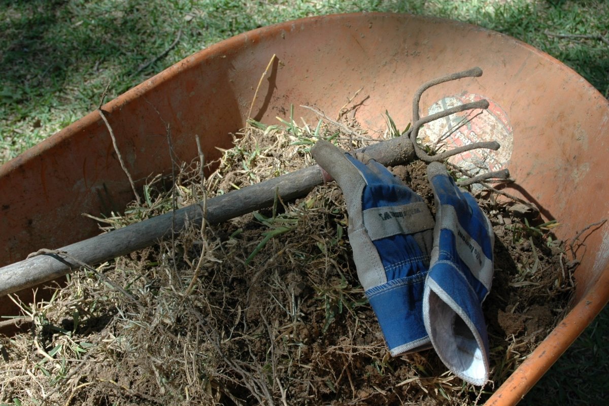 [yard_grassroots2.jpg]