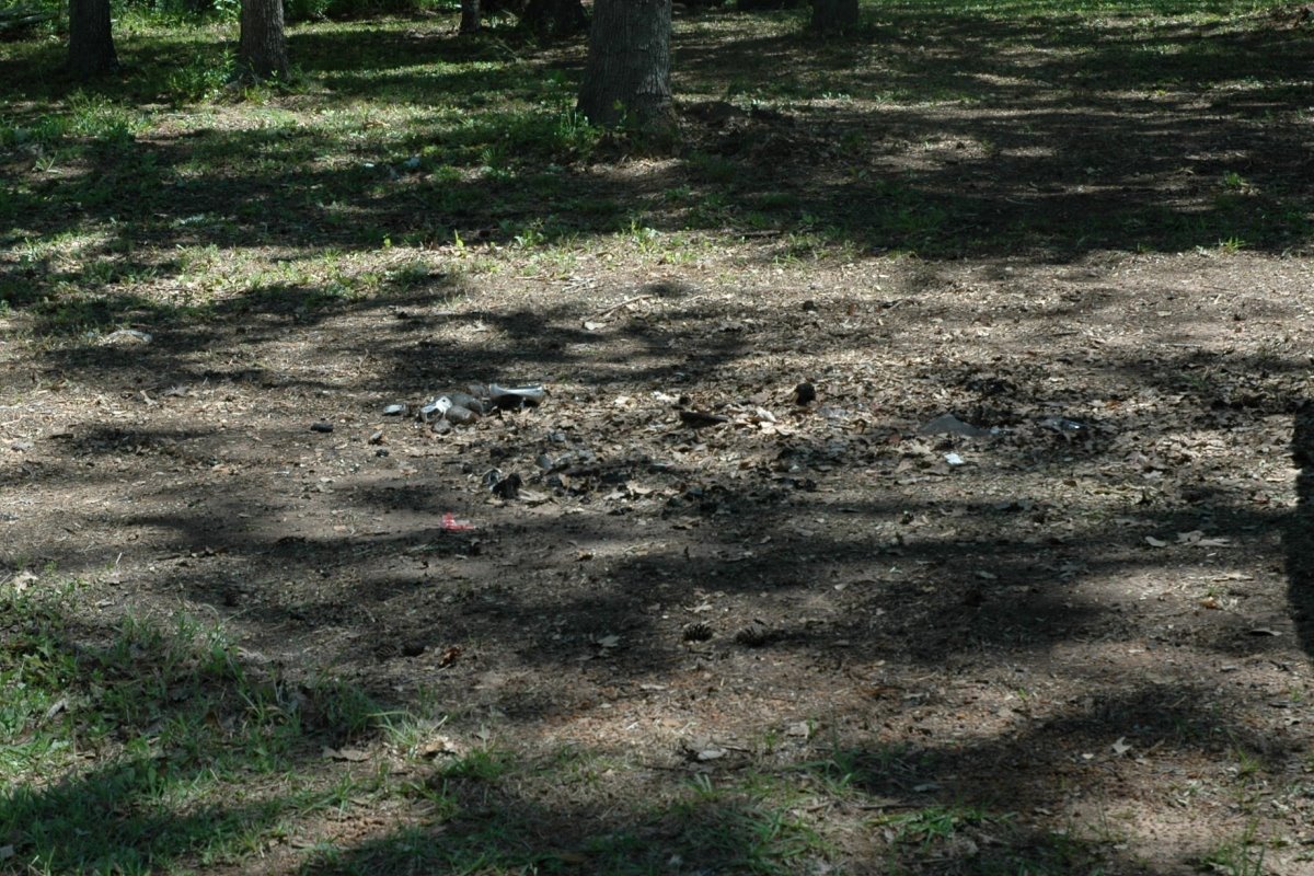 [yard_burnpile.jpg]