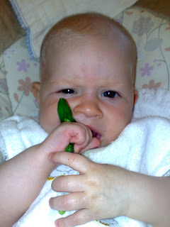 Baby eating solid green beans