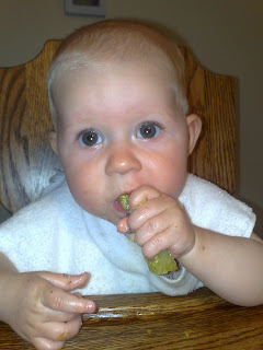 baby eating rutabaga