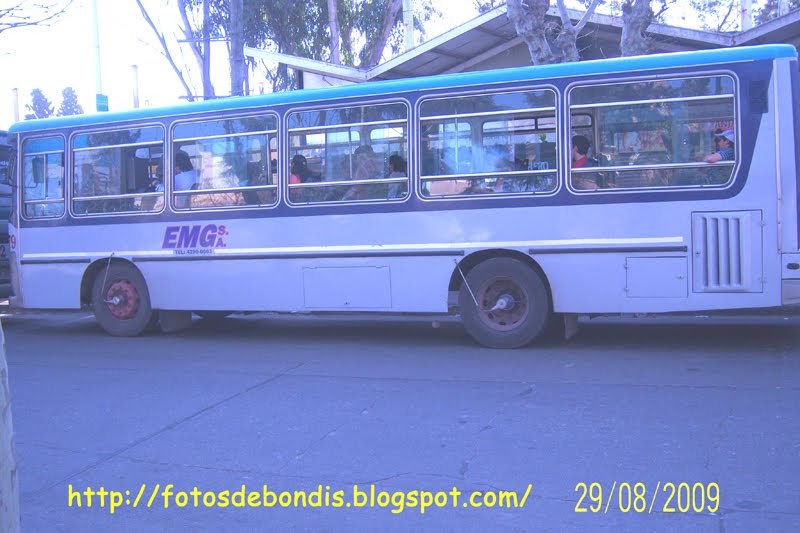 Fotos de Omnibus EMPRESA MONTE GRANDE S. A. LÍNEA 501