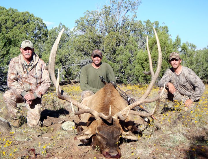Craig%20Steele%20Elk%202.jpg