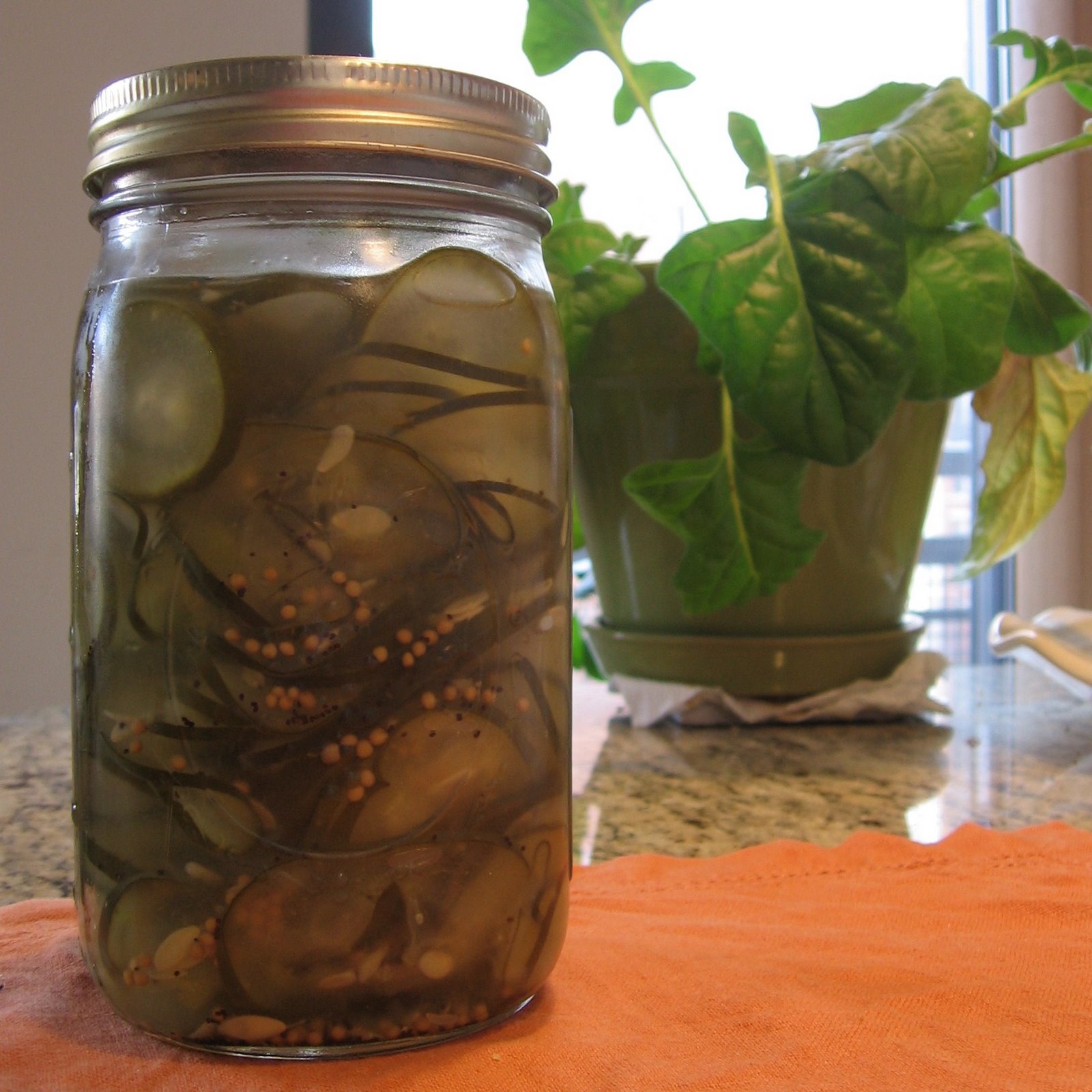 [mmm...pickles.JPG]