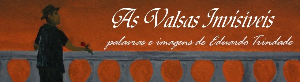 As Valsas Invisíveis (livro)