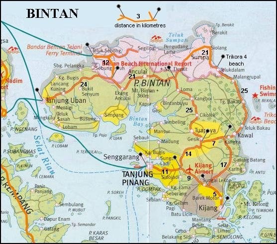 BINTAN In Malay History - SERAMBI MELAYU