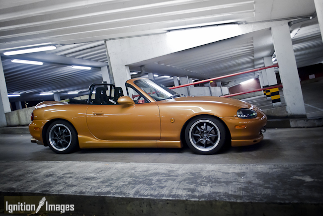 [Immagine: DSC_0063.jpg]