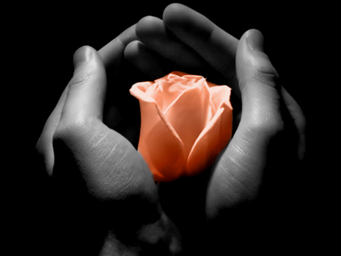 tenir dans ses mains