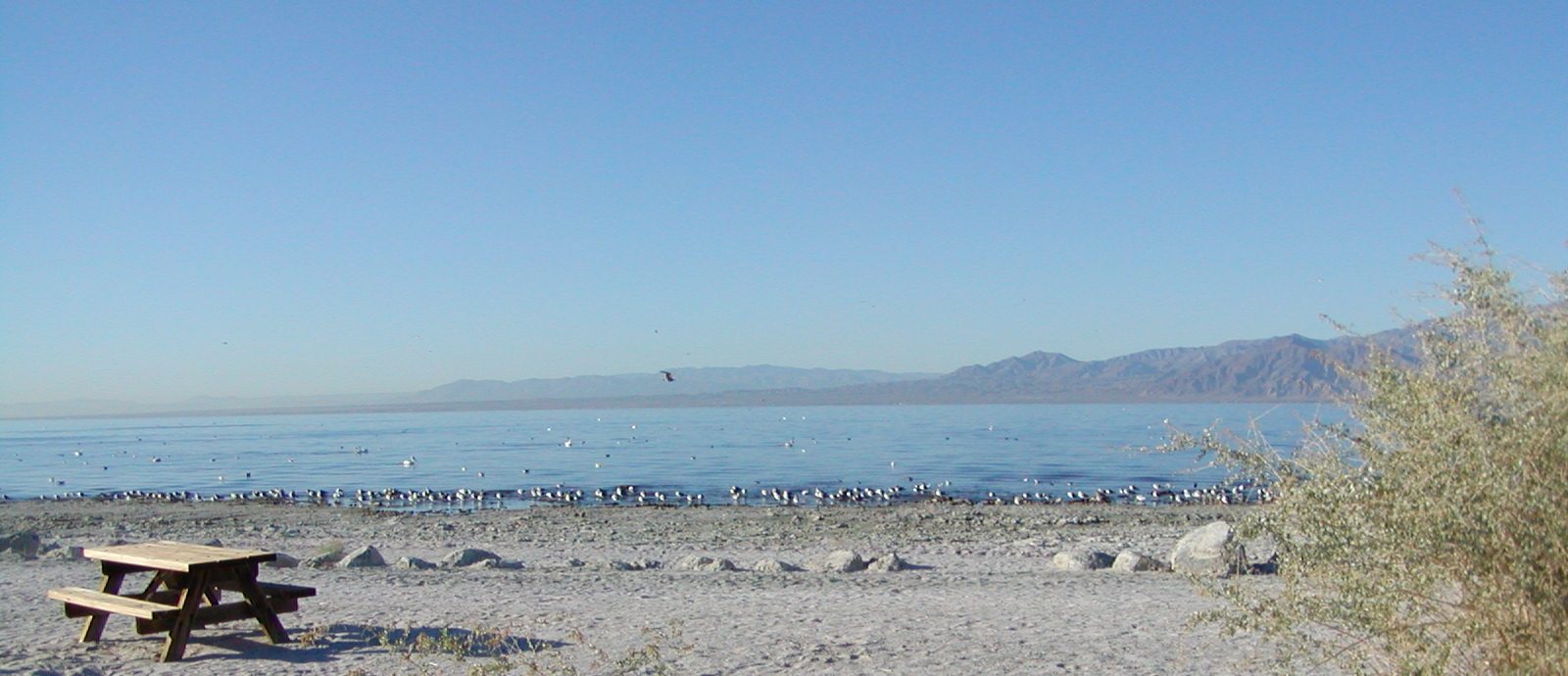 Desert Reflections Mecca Campground in the Salton Sea Recreation Area, CA