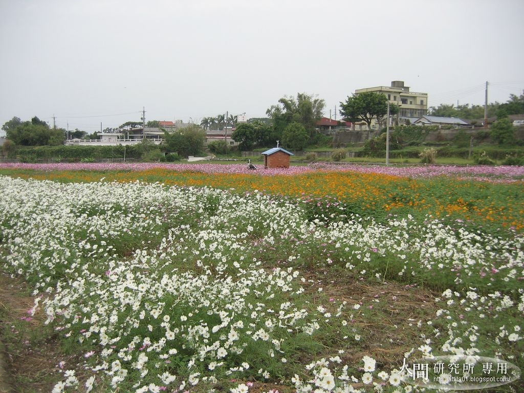 [IMG_4731.JPG]