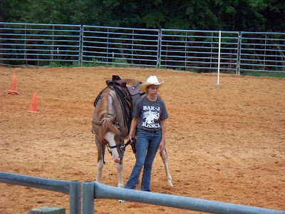 Rodeo Ring