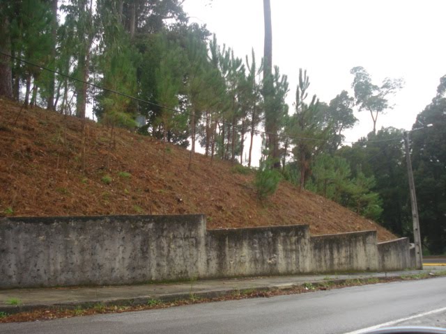 [08.11.2009-2.JPG]