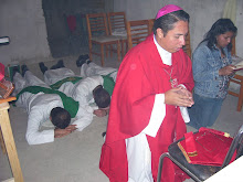 Ordenación en la Diócesis Católica Vetero de México.