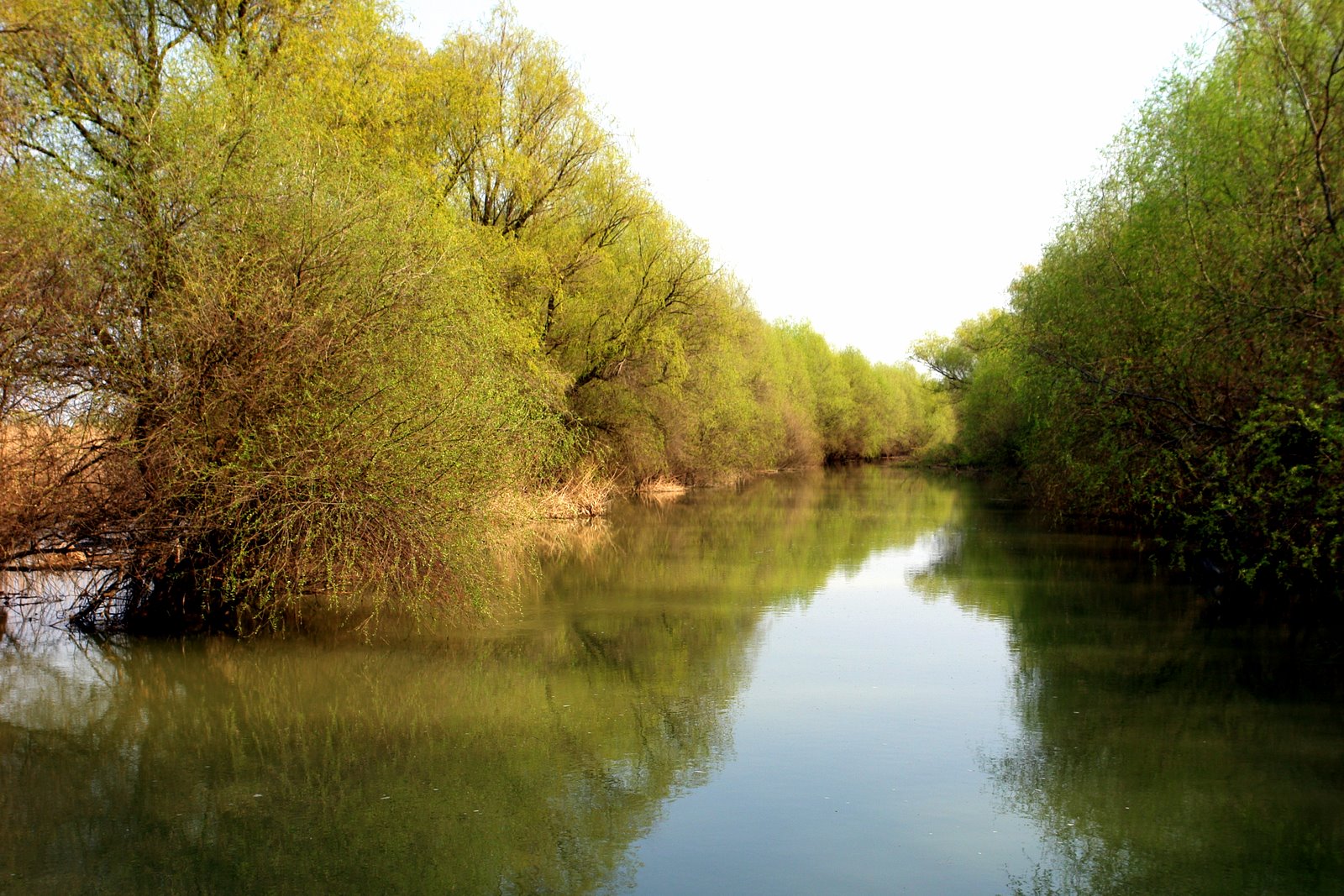 [DSC01915.JPG]