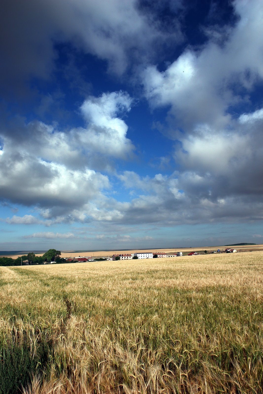 [DSC06886.JPG]