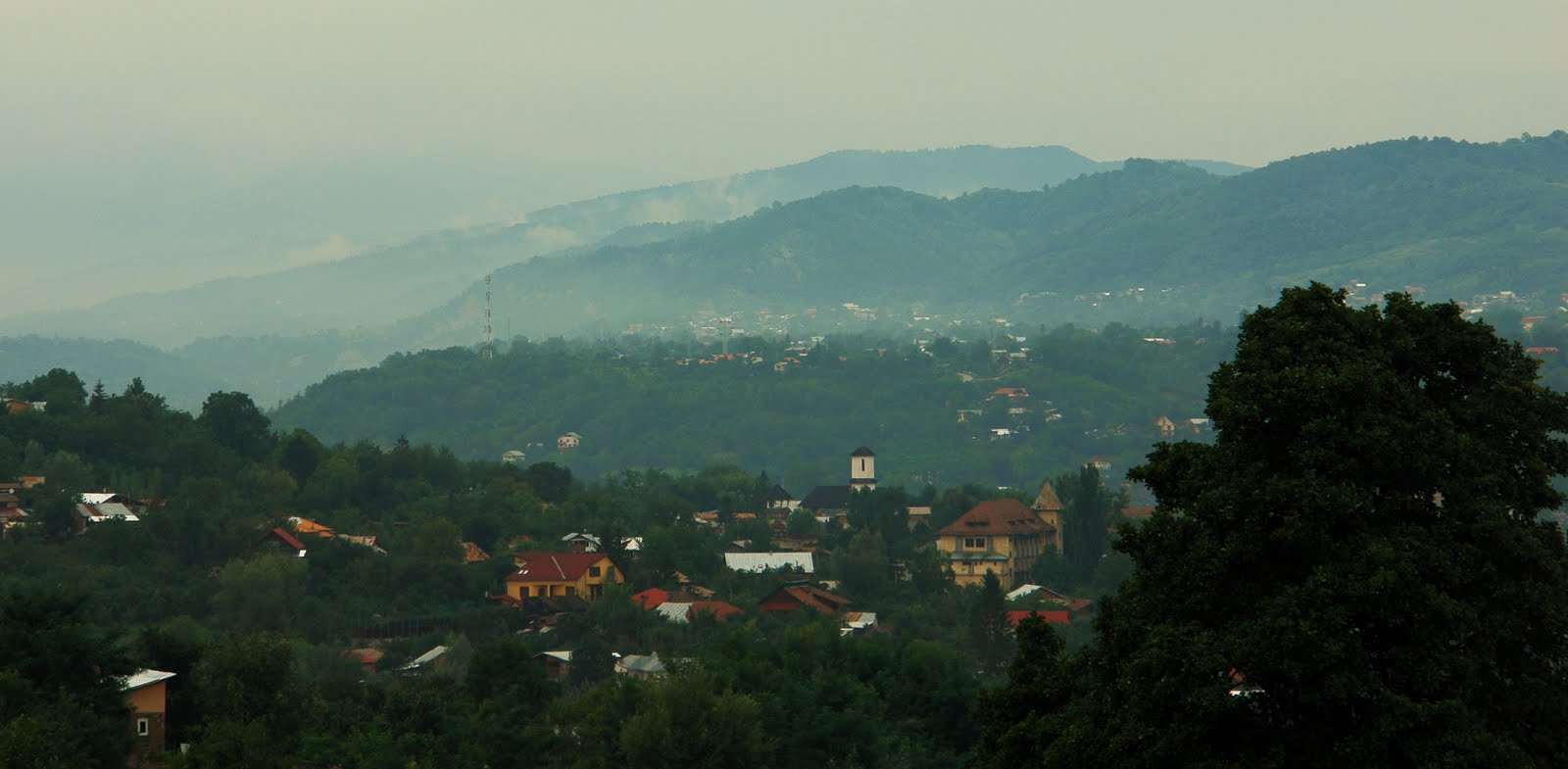 [DSC09933.JPG]