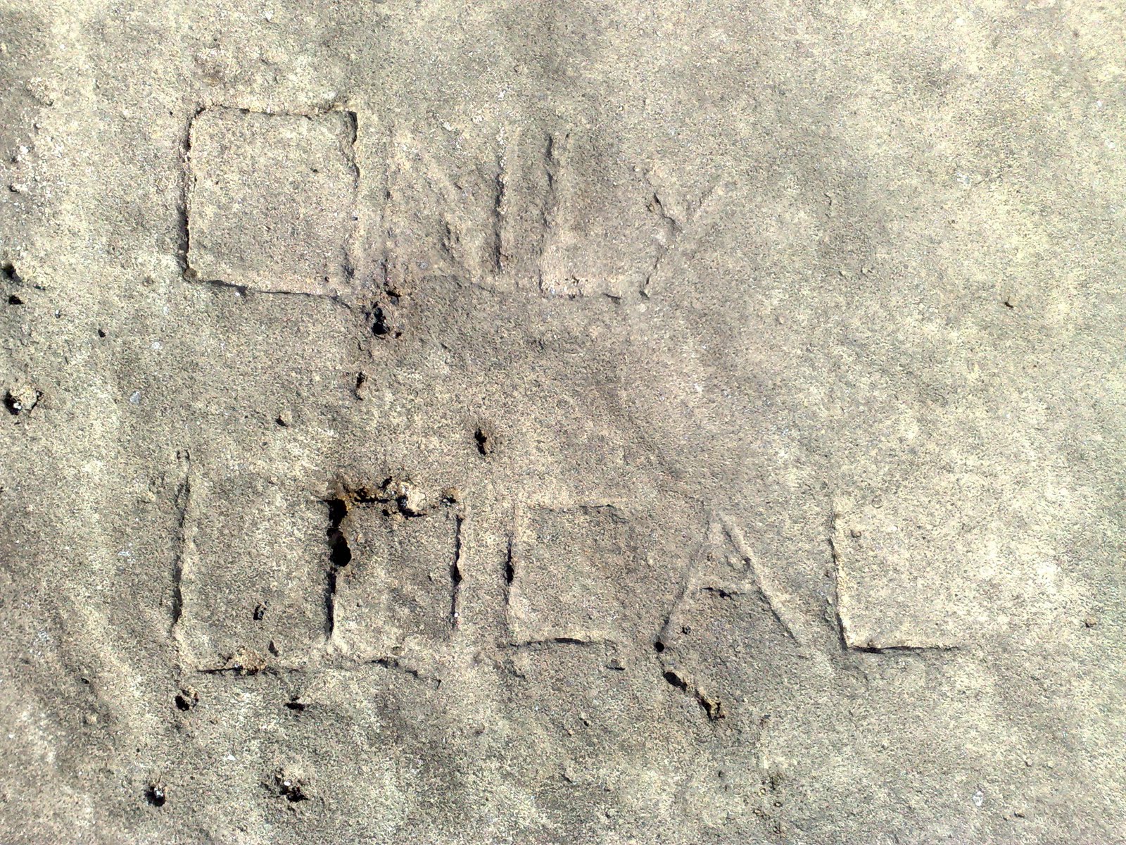 [23022010329.jpg]