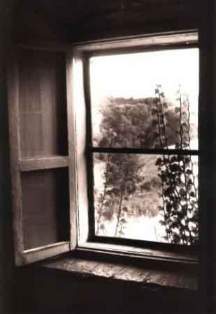 [janela%20aberta.jpg]
