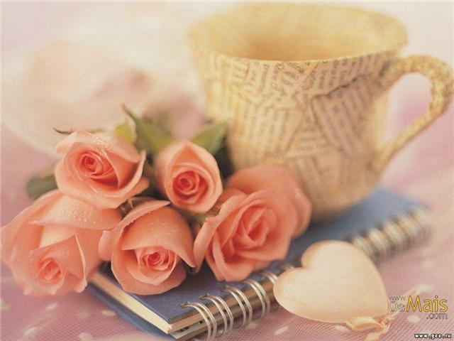 [xicara+e+rosas.jpg]