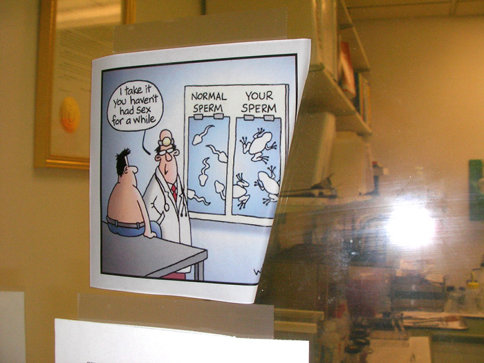 [cartoon+004-2006-02-08-b.jpg]
